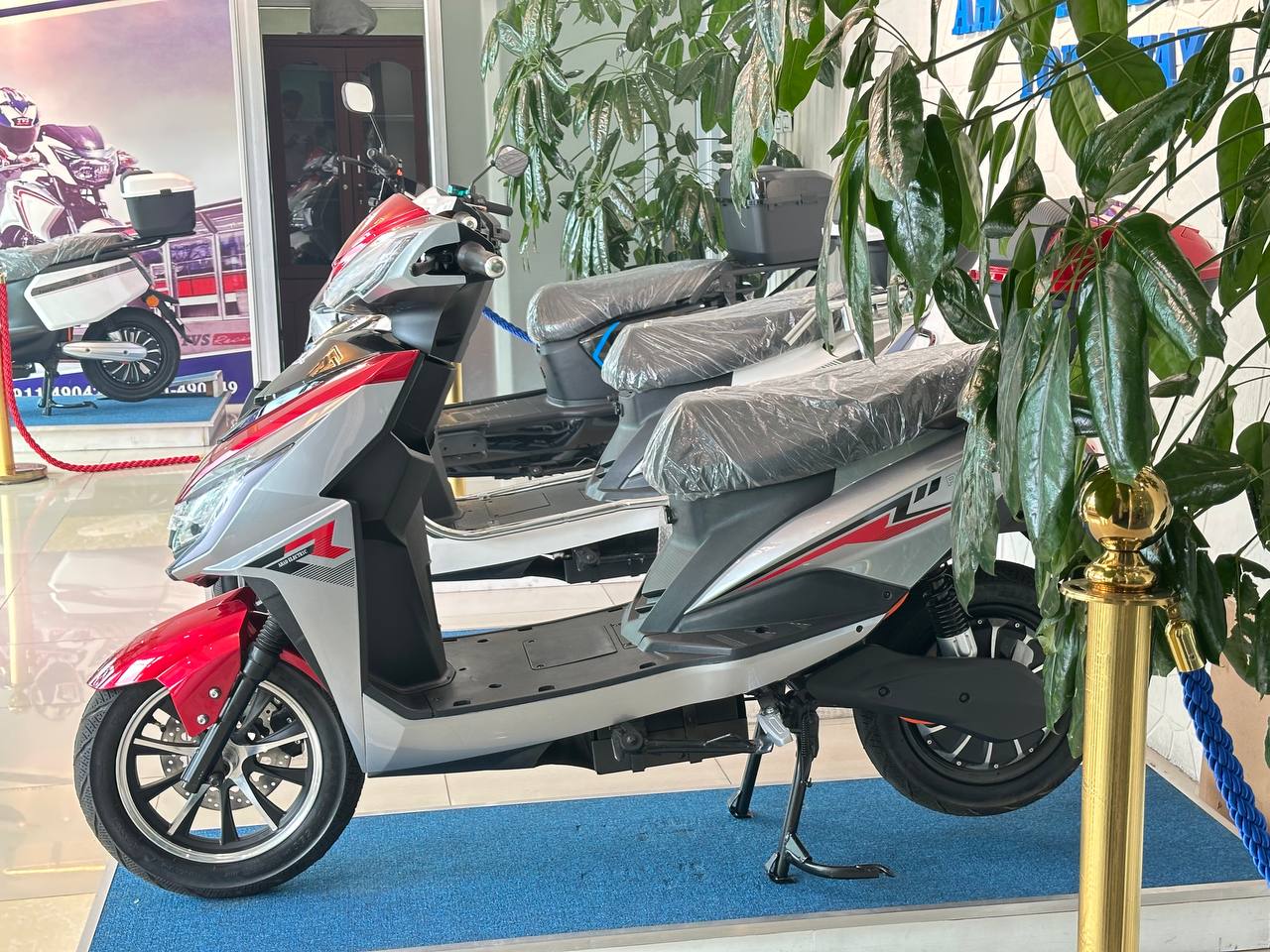 Modern Transportation Solutions